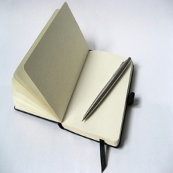 A picture of an open blank notebook, with a pen sitting inside